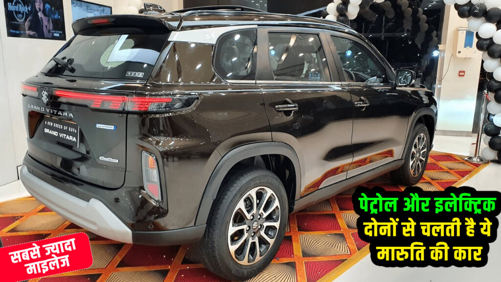 Maruti Suzuki Grand Vitara